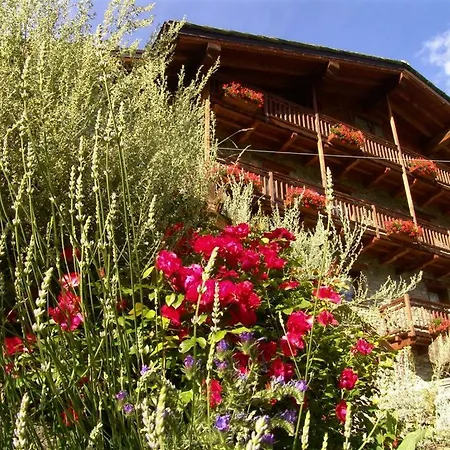 Maison De Frein *