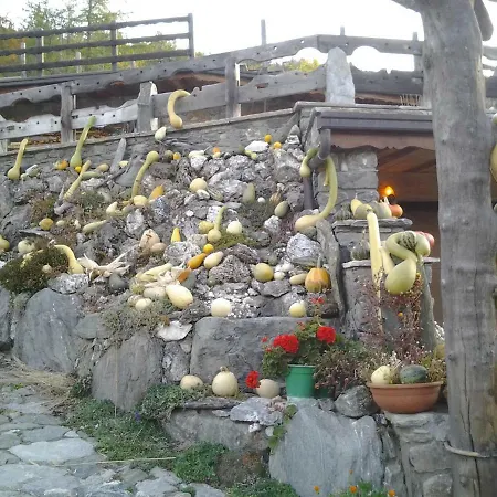 Maison De Frein *