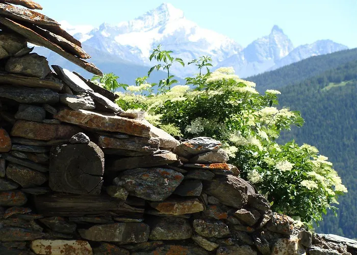 Maison De Frein Διαμέρισμα Allein