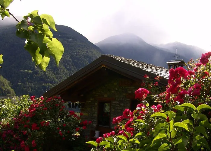 Maison De Frein Daire