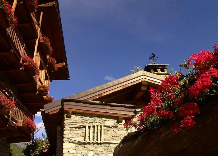 Daire Maison De Frein *