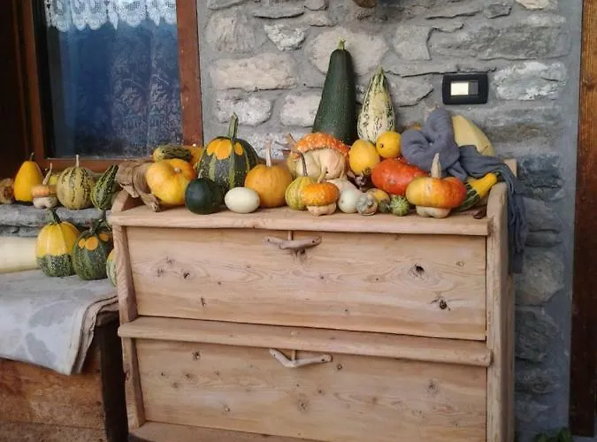 Daire Maison De Frein Allein